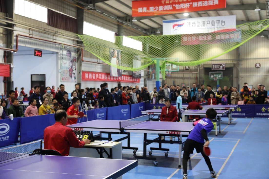 微妙的平衡 微妙的平衡