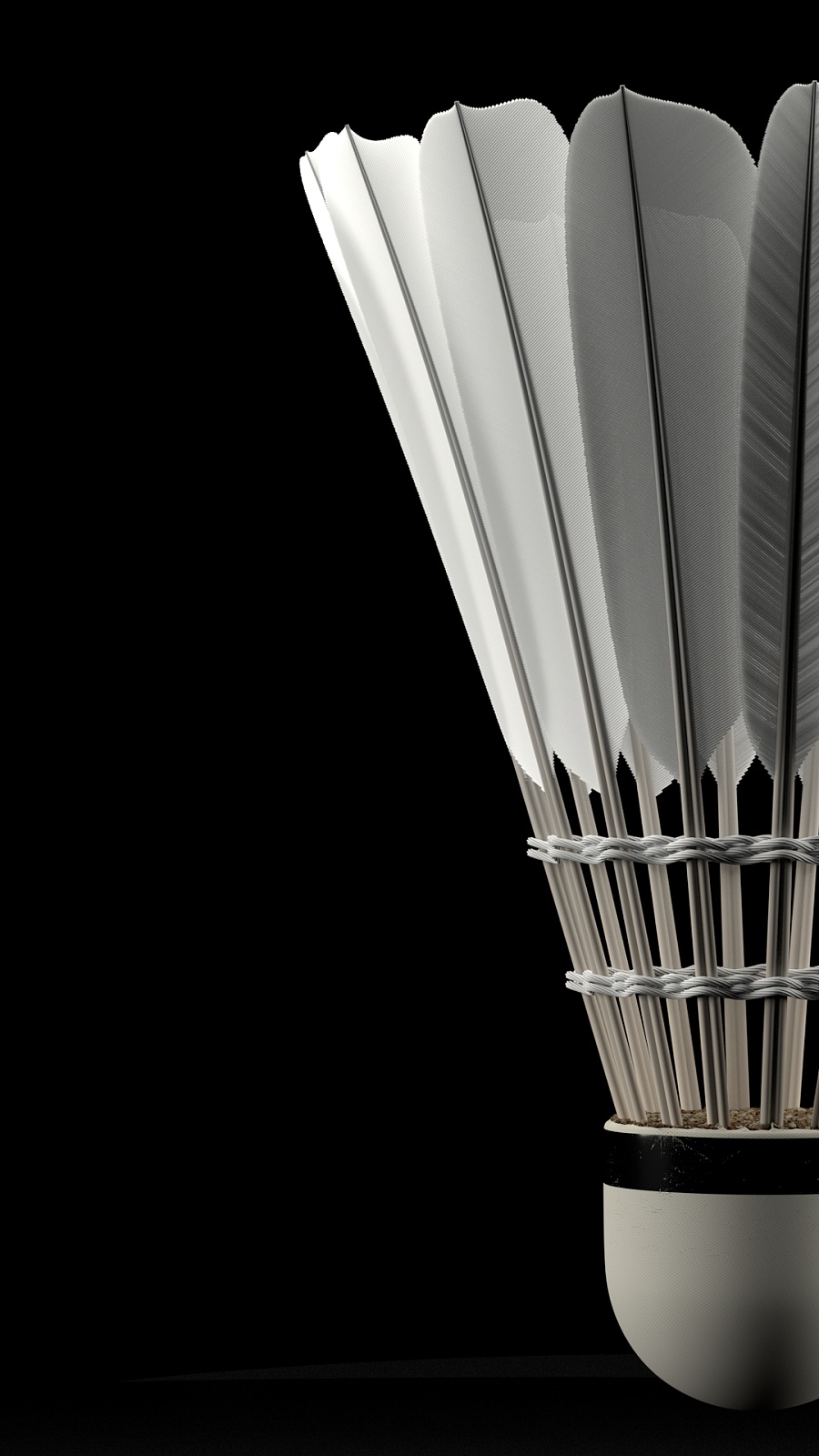 和罚款处罚 和罚款处罚